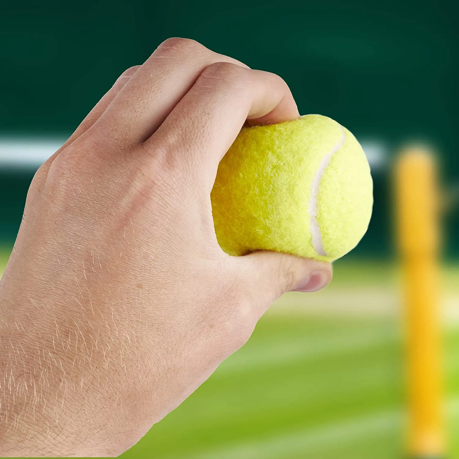 15 Tennis Balls with Mesh Storage Bag