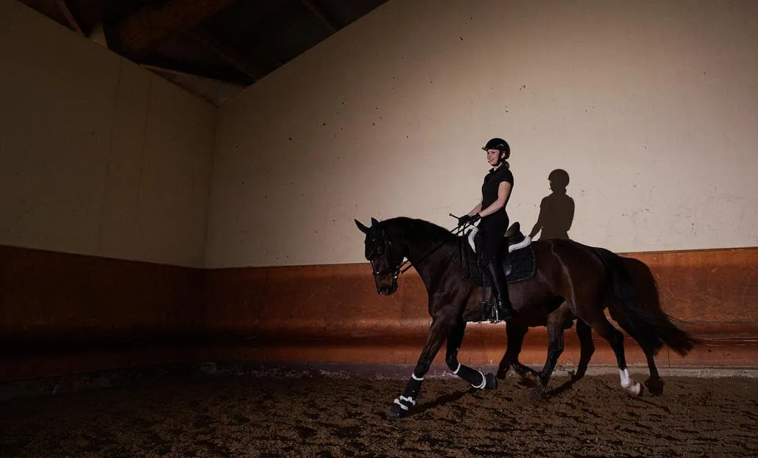 Amortisseur cheval mouton noir 900