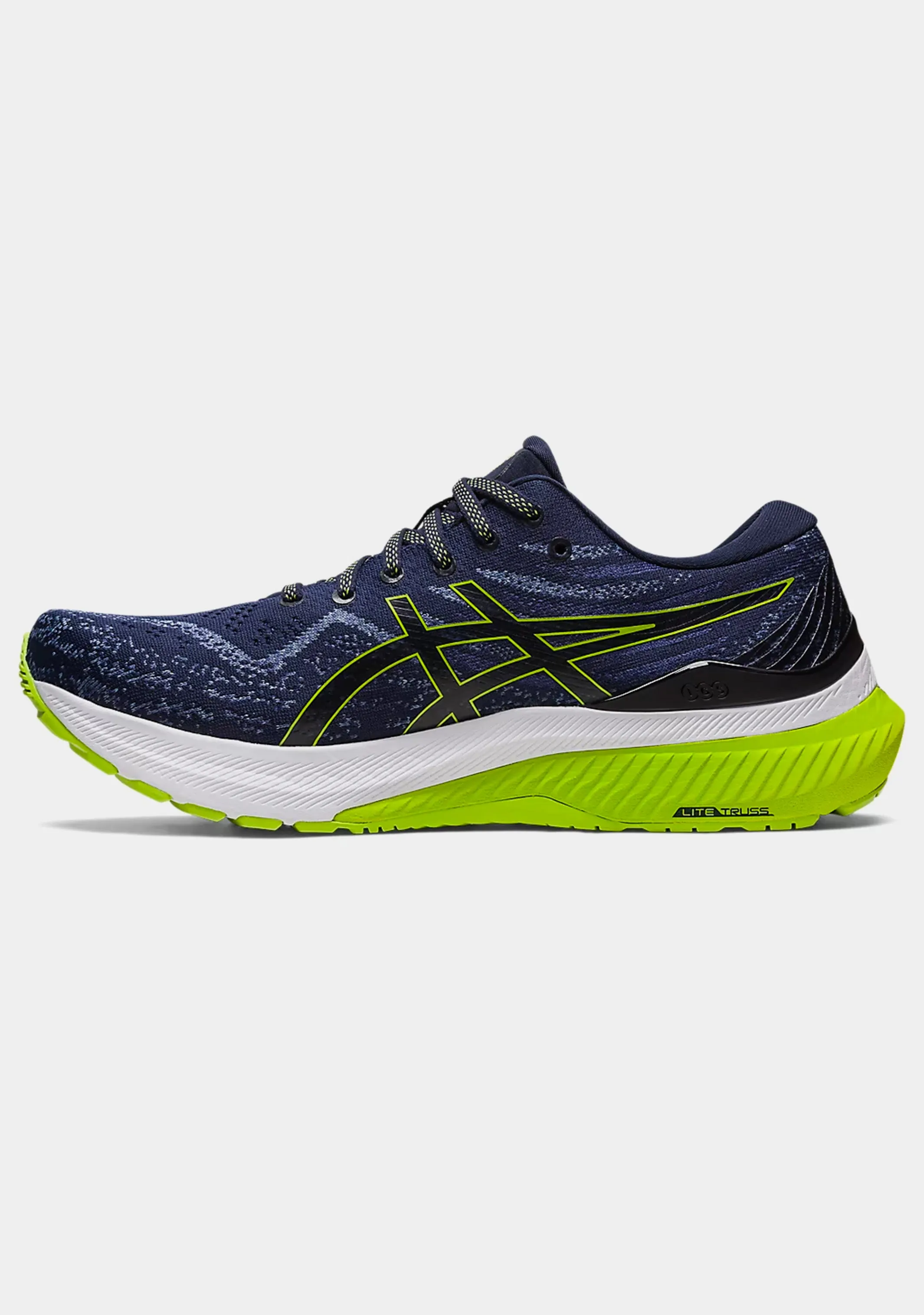 Asics Men's Gel Kayano 29