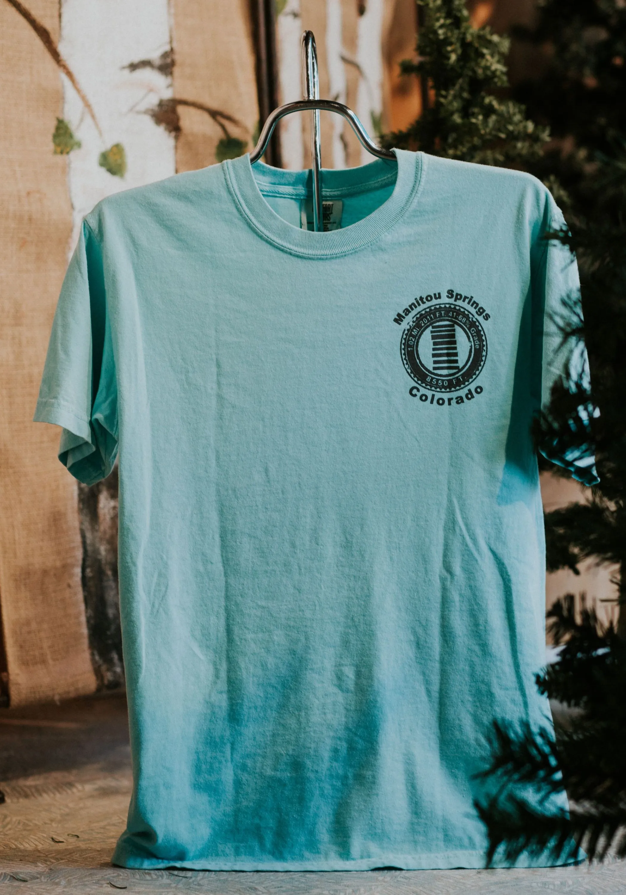 Comfort Colors Incline Steps Tee