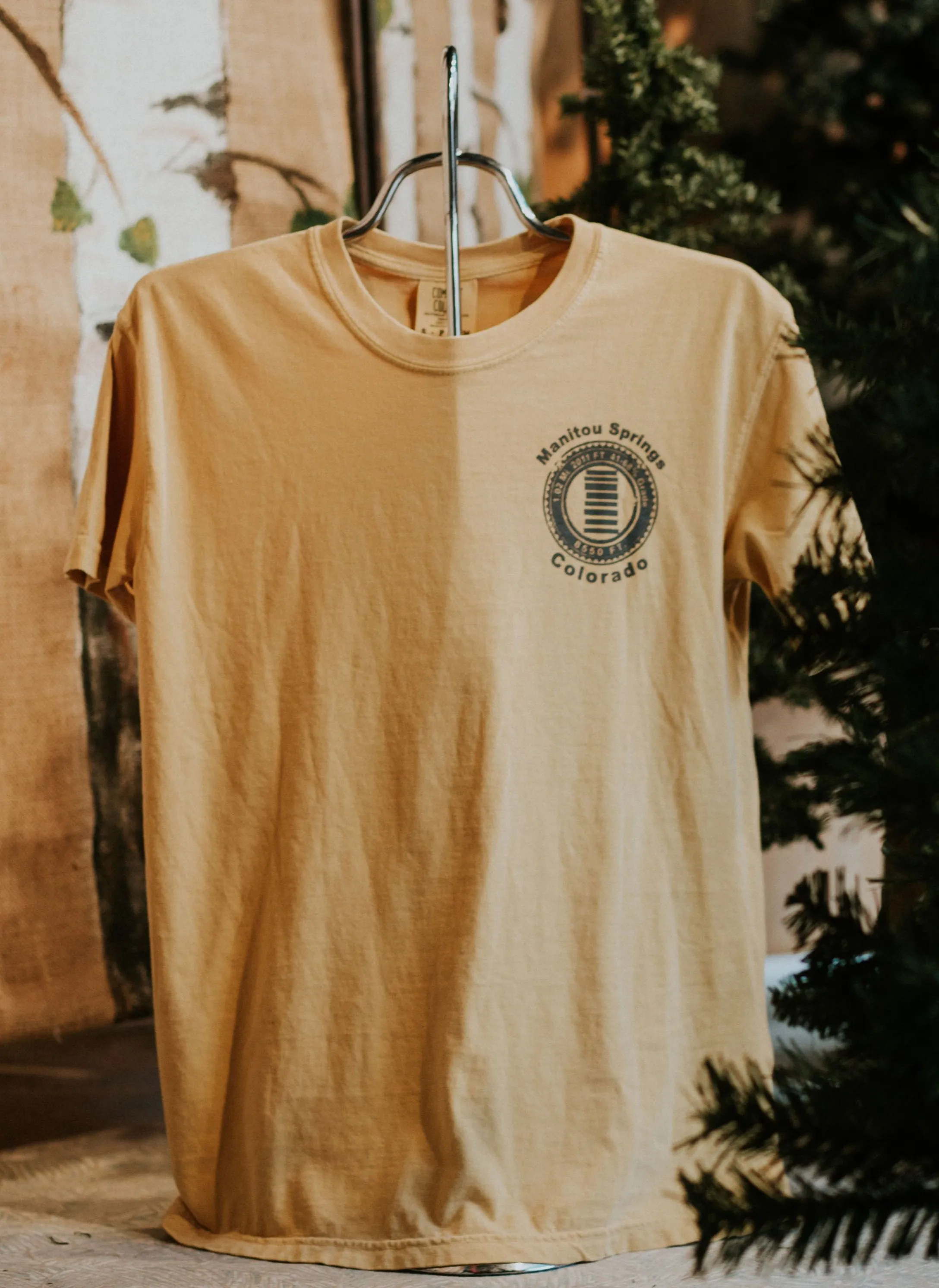 Comfort Colors Incline Steps Tee