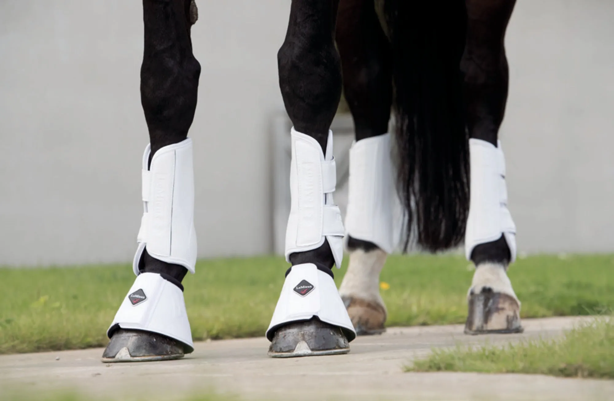 LeMieux Schooling Boots White