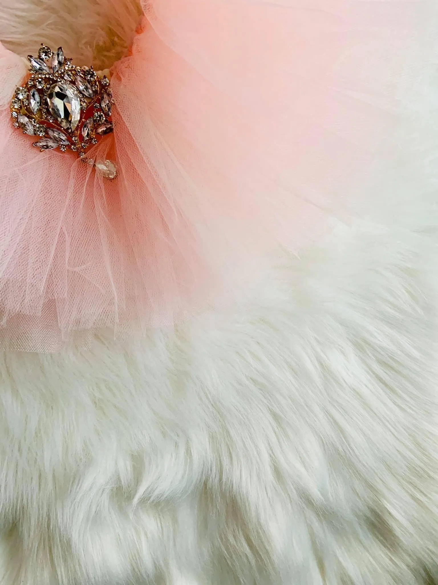 Pink and Gold "Wild One" Birthday Outfit