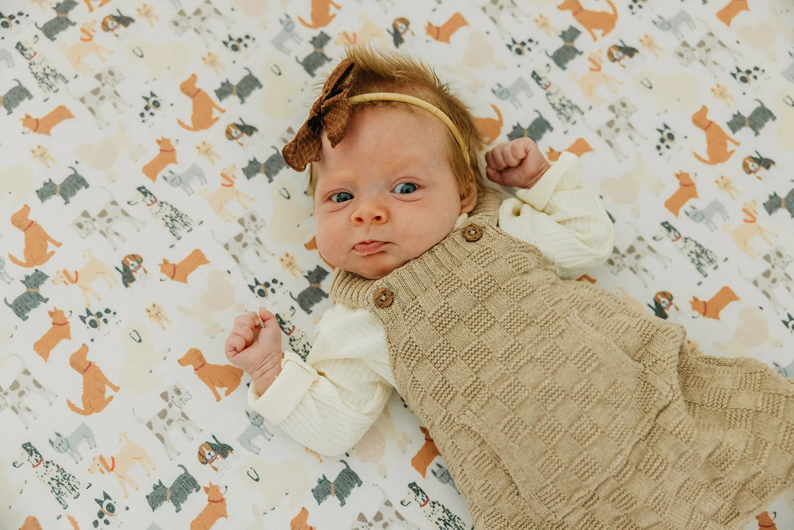Premium Knit Fitted Crib Sheet - Rufus