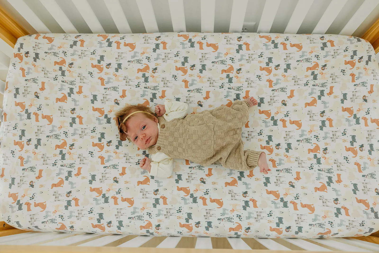 Premium Knit Fitted Crib Sheet - Rufus
