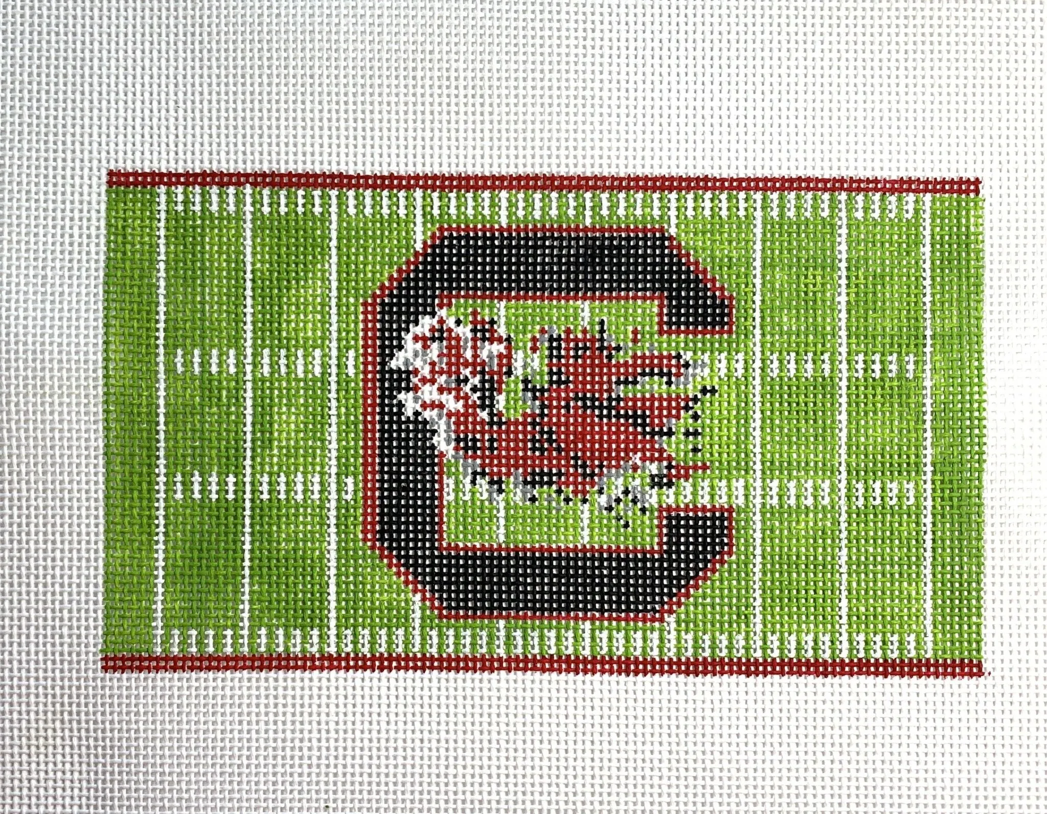 South Carolina Football Field Canvas