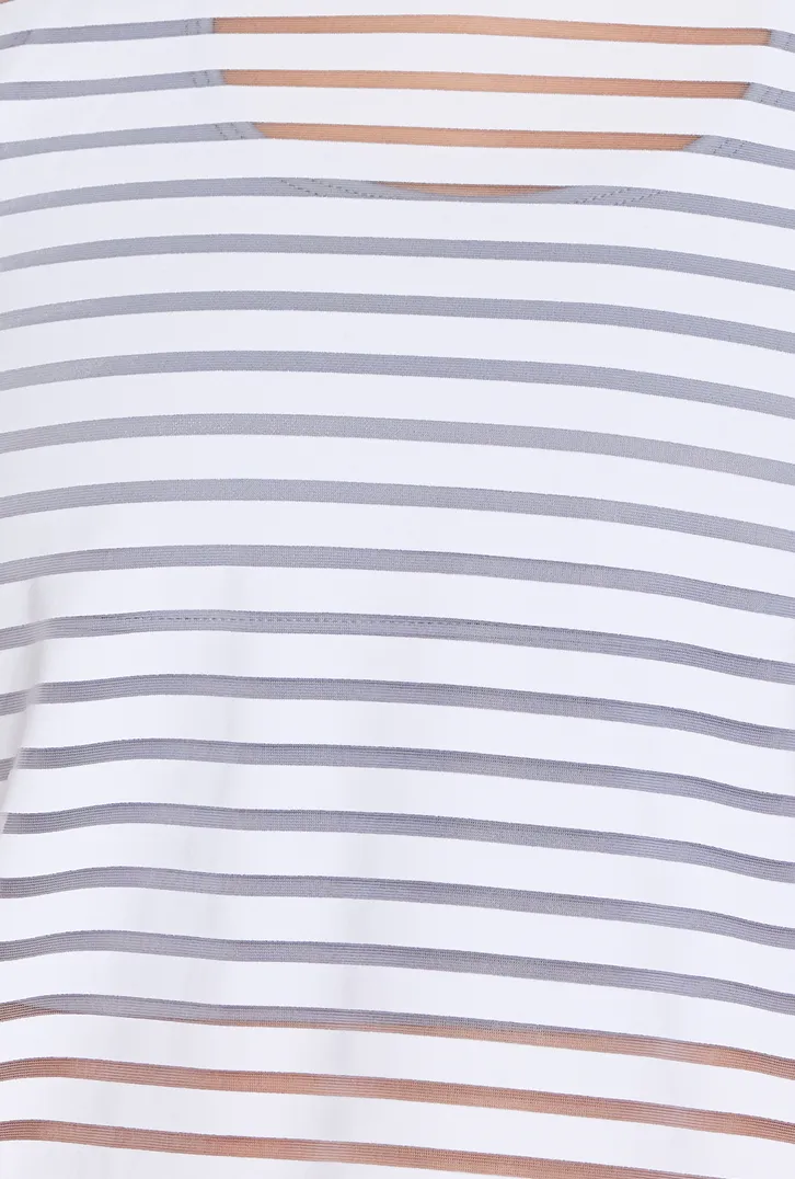 Striped Mesh Black Long Sleeve Crop Top