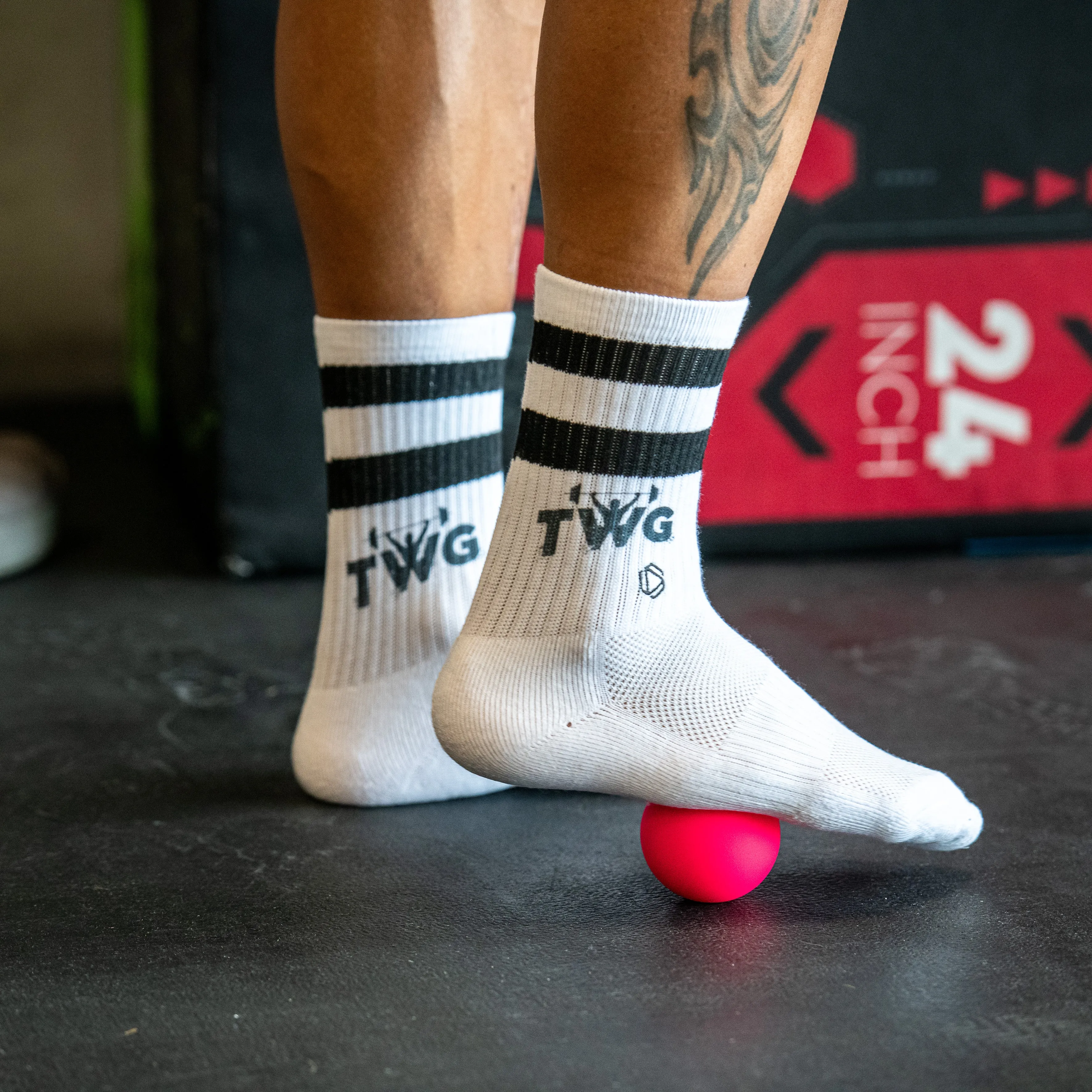 TWG & Hexxee 2 Stripes Socks