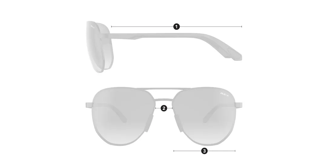 WELVIS BROWN/SILVER BEX SUNGLASSES